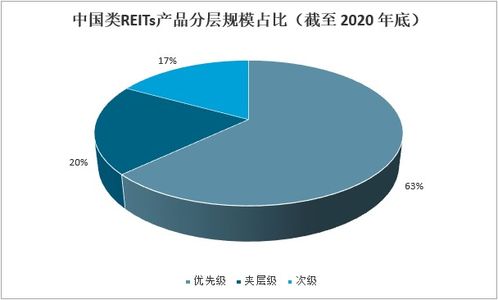 2021-2027年中國REITs行業市場深度分析與投資前景展望報告